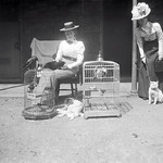 Cat on a hot rope leash?