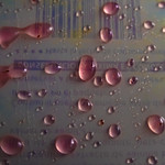 Algo m&aacute;s que nada