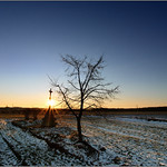 Gloria in excelsis Deo