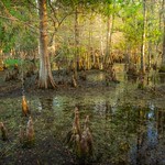 Her Magical Enchantment