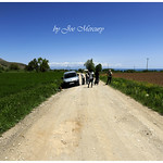 Akdamar Adasi, Turkey