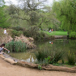 Richmond Park &ndash; Isabella Plantation