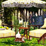 Majesty- Peace & Harmony