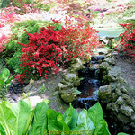 Exbury House and Gardens in 17th May 2018, Exbury, Southampton, SO45 1AZ .Hampshire, England.