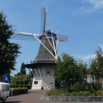 Nederland - Gelderland - Ermelo - De Koe