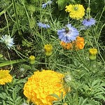 Rotary Garden Tour 2018