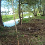 Aguas Calientes Despues de intervencion2