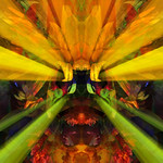 Looking For a Bit of Sunshine