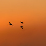 early morning flight...