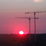 cranes and sunrise (53)