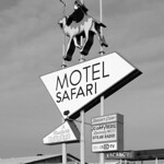 The Motel Safari