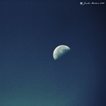 Daylight Moon