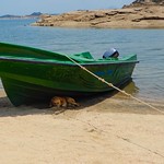 Finding Shade from the Burning Sun