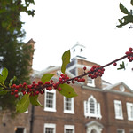 Bell House @ Dulwich