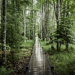 The Path Less Travelled