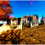 Photocontest-Whimberly #2