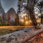 Last Sunrays of the Day