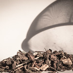 Macro Mondays #remedy