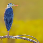 Beauty of The Nature