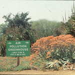 1990: Arboretum's Air Pollution Greenhouse