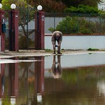 &Egrave; autunno anche qui.