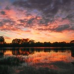 Let the world go by, all lost in dreaming