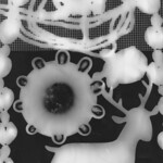 Photogram - Positive