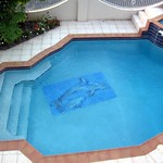 The Pool