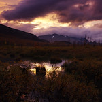 2016 / Day 7 / Twilight in Rapadalen valley