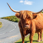 Posing for the camera