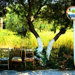 The Gatherings : Monkey Business