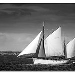 L'Etoile Mol&egrave;ne