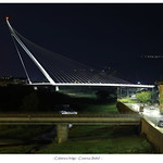 Calatrava Bridge