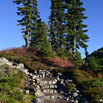 Artist Ridge Trail - Mt. Baker-Snoqualmie National Forest