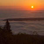 Golden Sea Over West Virginia