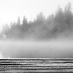 Beautiful Foggy Morning - 2334b+