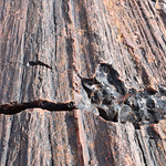 Petrified Forest National Park