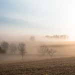 Early Morning Myst In Bamberg