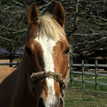 Meeting you was fate, becoming your friend was a choice, but falling in love with you I had no control over. ~ Unknown