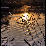 drops in the river⭐️