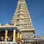 Mysore