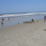 family beach trip spring 2007 008