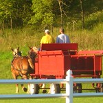 Gettin Down on the Farm