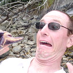 Attack of the STARFISH BLOB