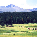 Horseback riders Upper Beaver Meadows