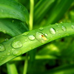 Raindrops keep falling on my head...