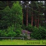 Die H&uuml;tte am Wald (The hovel at the forest)