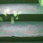 Green steps.