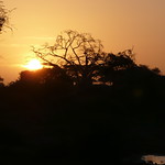 Amboseli National Park