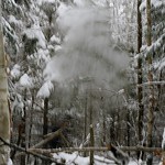 Falling snow